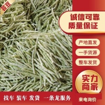 山东精品白芸豆产地直发质量好现摘现发对接批发商