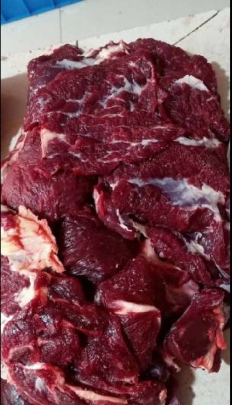 贵州土黄牛肉，不注水，现杀现发。300斤以上送骨头。