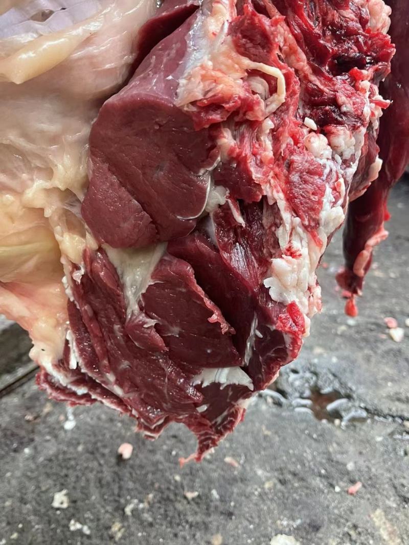 贵州土黄牛肉，不注水，现杀现发。300斤以上送骨头。