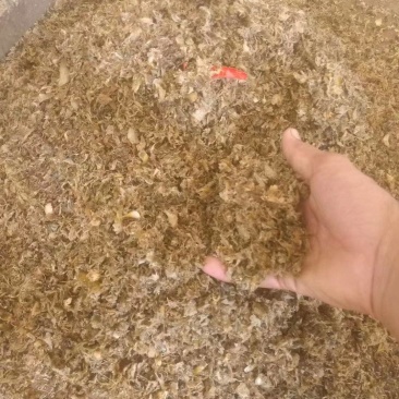 徐闻县新鲜菠萝皮压榨加工牛羊饲料，全国代发。
