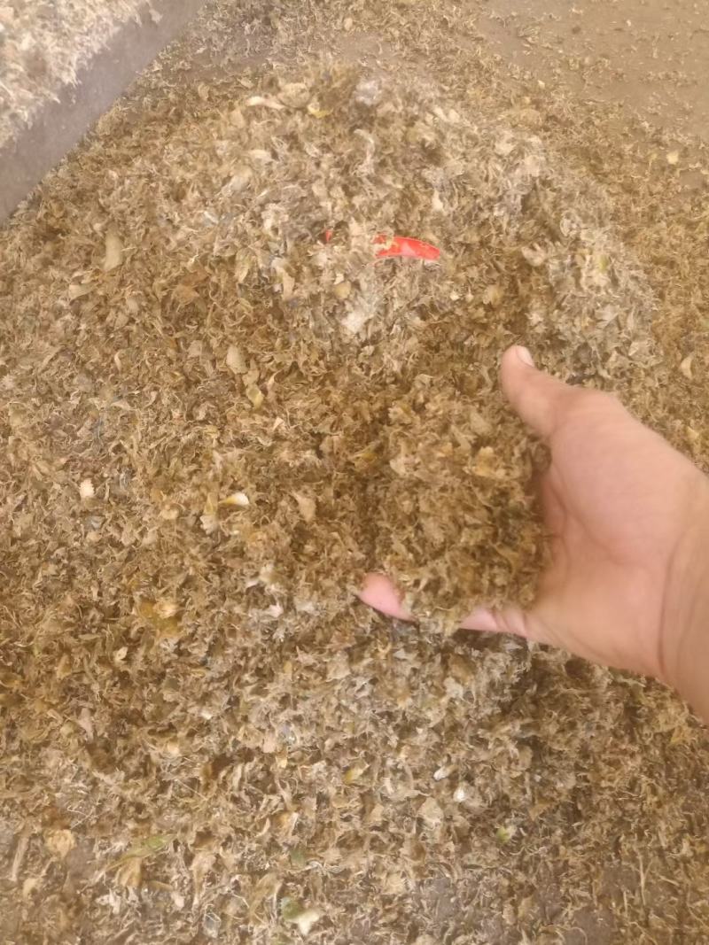 徐闻菠萝皮，搞成牛羊猪饲料，需要的老板可以联系