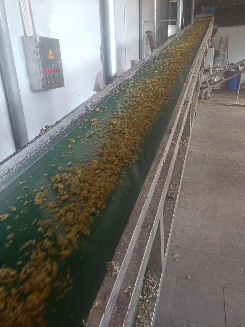 徐闻县新鲜菠萝皮压榨加工牛羊饲料，全国代发。