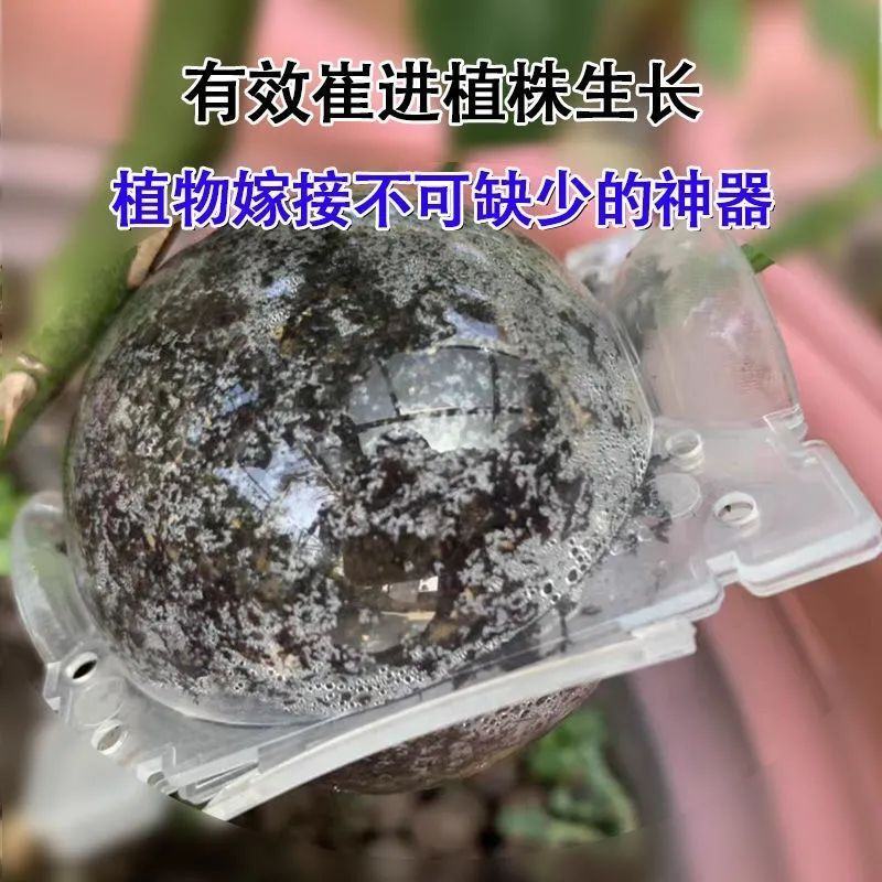植物高压繁殖盒果树花木扦插嫁接家用高空压条生根育苗神器月