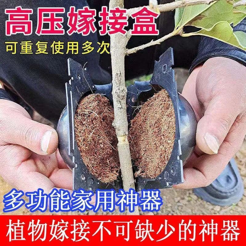 植物高压繁殖盒果树花木扦插嫁接家用高空压条生根育苗神器月