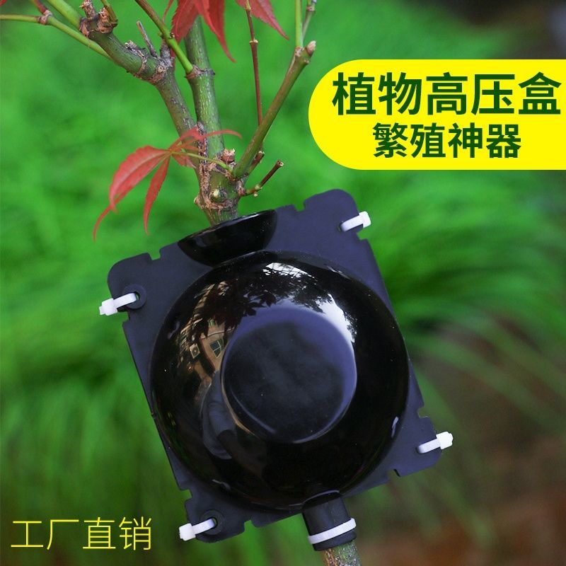 植物高压繁殖盒果树花木扦插嫁接家用高空压条生根育苗神器月