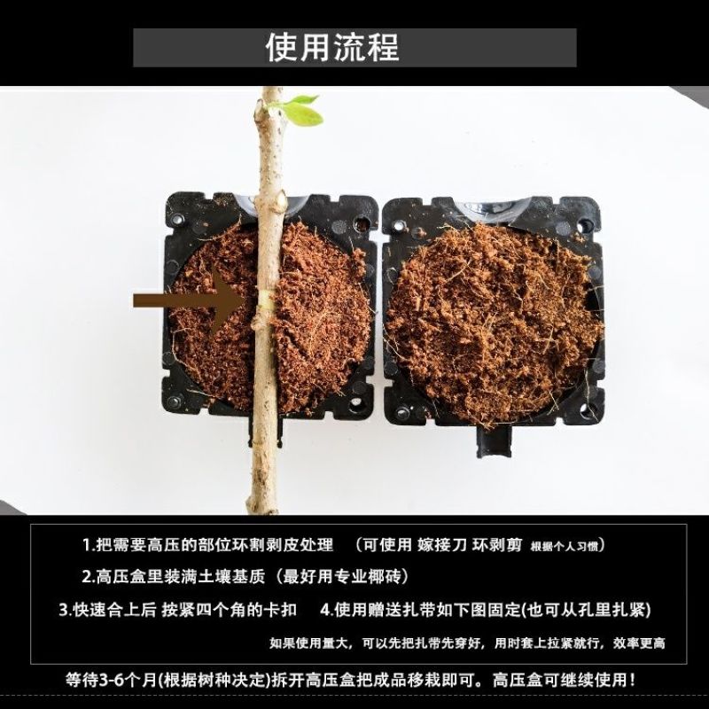 植物高压繁殖盒果树花木扦插嫁接家用高空压条生根育苗神器月