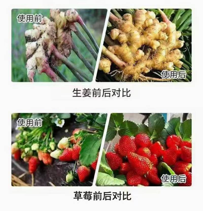 矿源黄腐酸钾，全溶速溶，活化土壤，调节盐碱，抗茬抗病