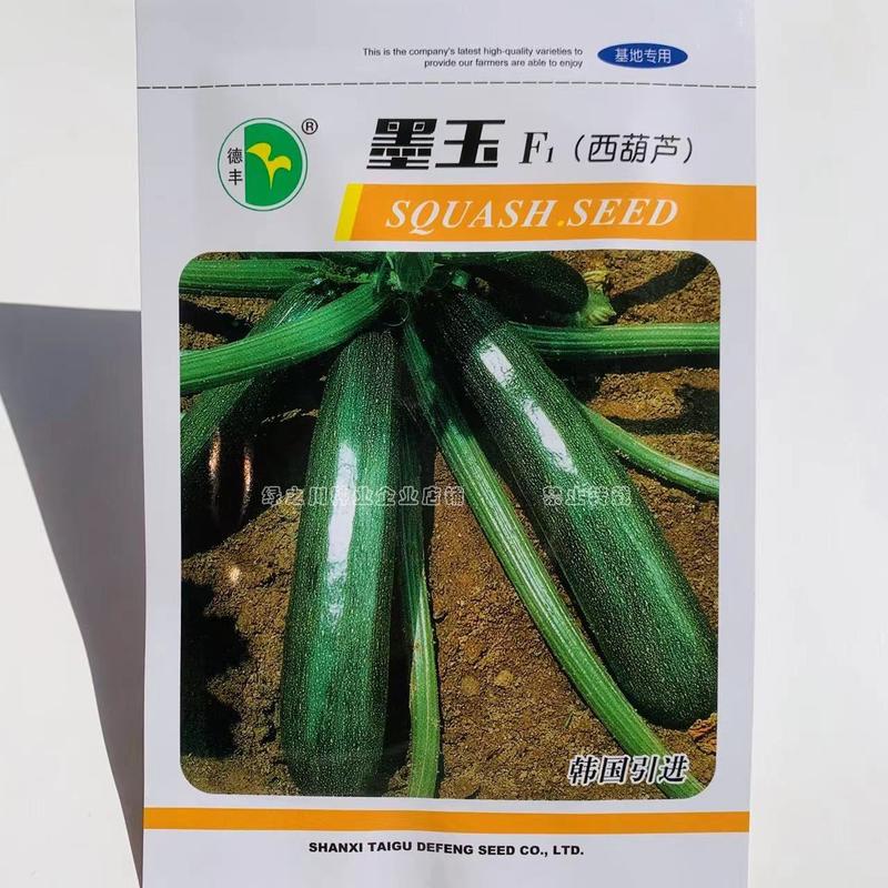韩国引进墨玉西葫芦种子脆甜老瓜墨绿色西葫芦种籽基地专用