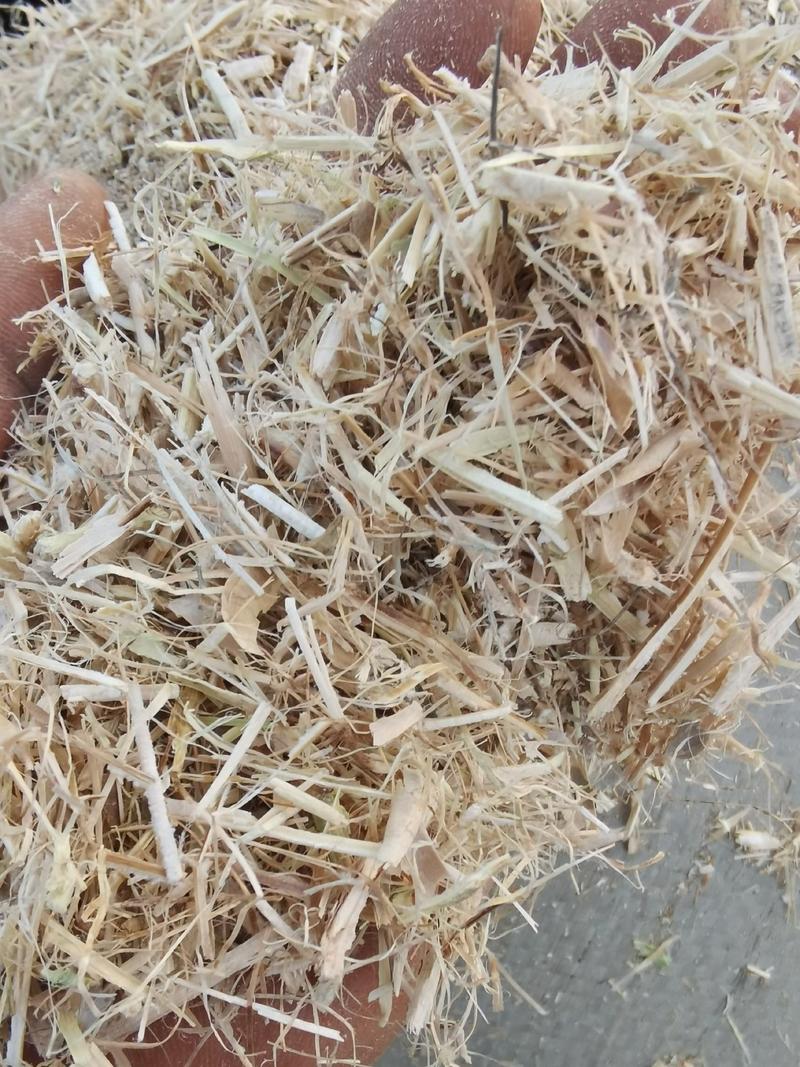 牛羊专用规格黄豆秸秆无土无膜无霉变品质保证产地直发