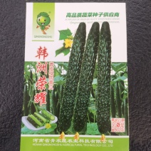 杂交韩洲荣耀密刺黄瓜种子一袋也是批发价品质好产量高抗性好