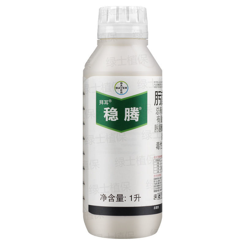 拜耳稳腾30%肟菌·戊唑醇稻瘟病稻曲病纹枯病白粉病农药