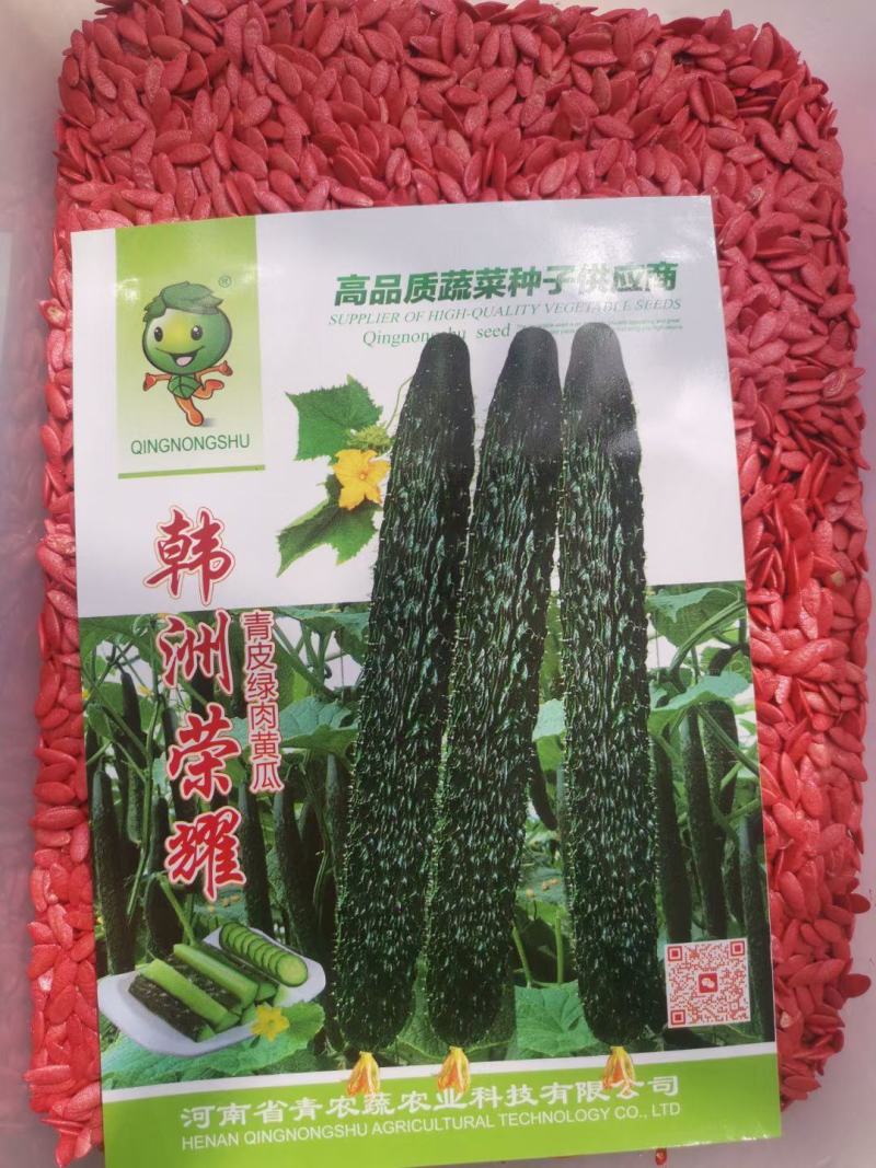 杂交韩洲荣耀密刺黄瓜种子一袋也是批发价品质好产量高抗性好