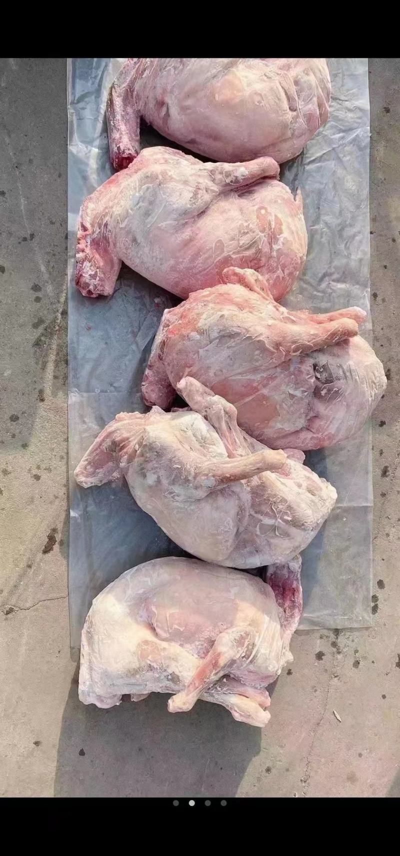 羔羊酮体，烤全羊专用