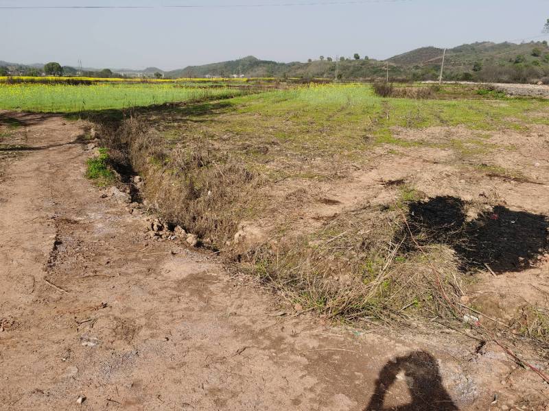 【推荐】【湖南旱地出租】【可合同】【可带视频看货】