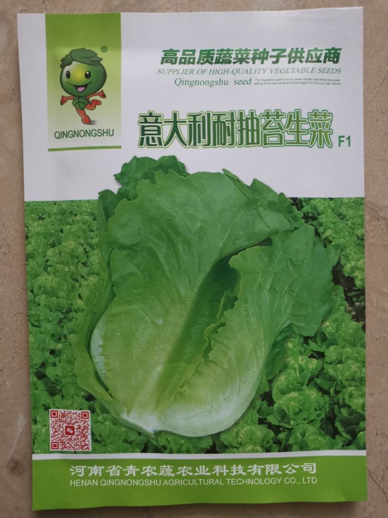 【精选】耐热耐抽薹意大利生菜种子口感爽脆叶片厚实