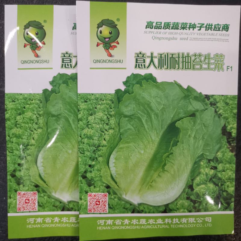 【精选】耐热耐抽薹意大利生菜种子口感爽脆叶片厚实