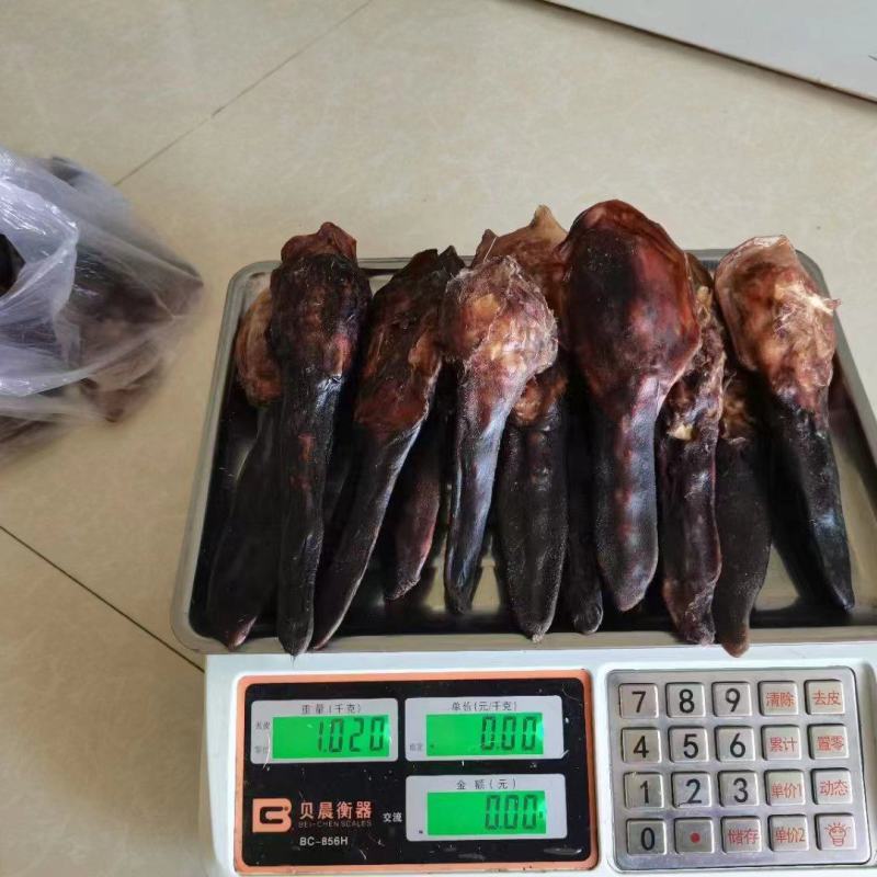 干鹿尾，足干鹿尾大小克数都有