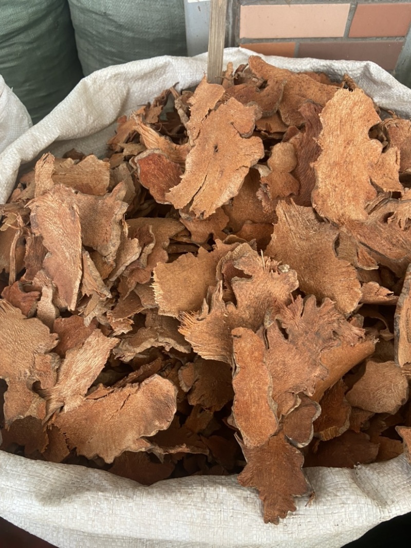 菝葜金刚刺金刚藤菝契菝葜根金刚头金刚根