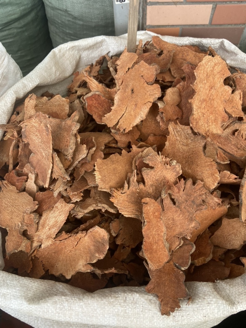 菝葜金刚刺金刚藤菝契菝葜根金刚头金刚根
