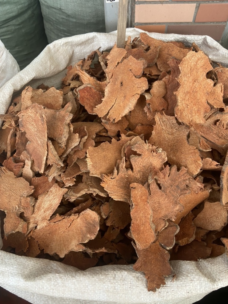 菝葜金刚刺金刚藤菝契菝葜根金刚头金刚根