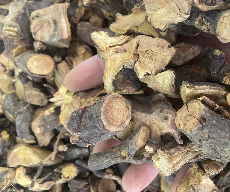 睇牛仔根苦李脚根苦里脚根睇牛儿根睇牛仔干货