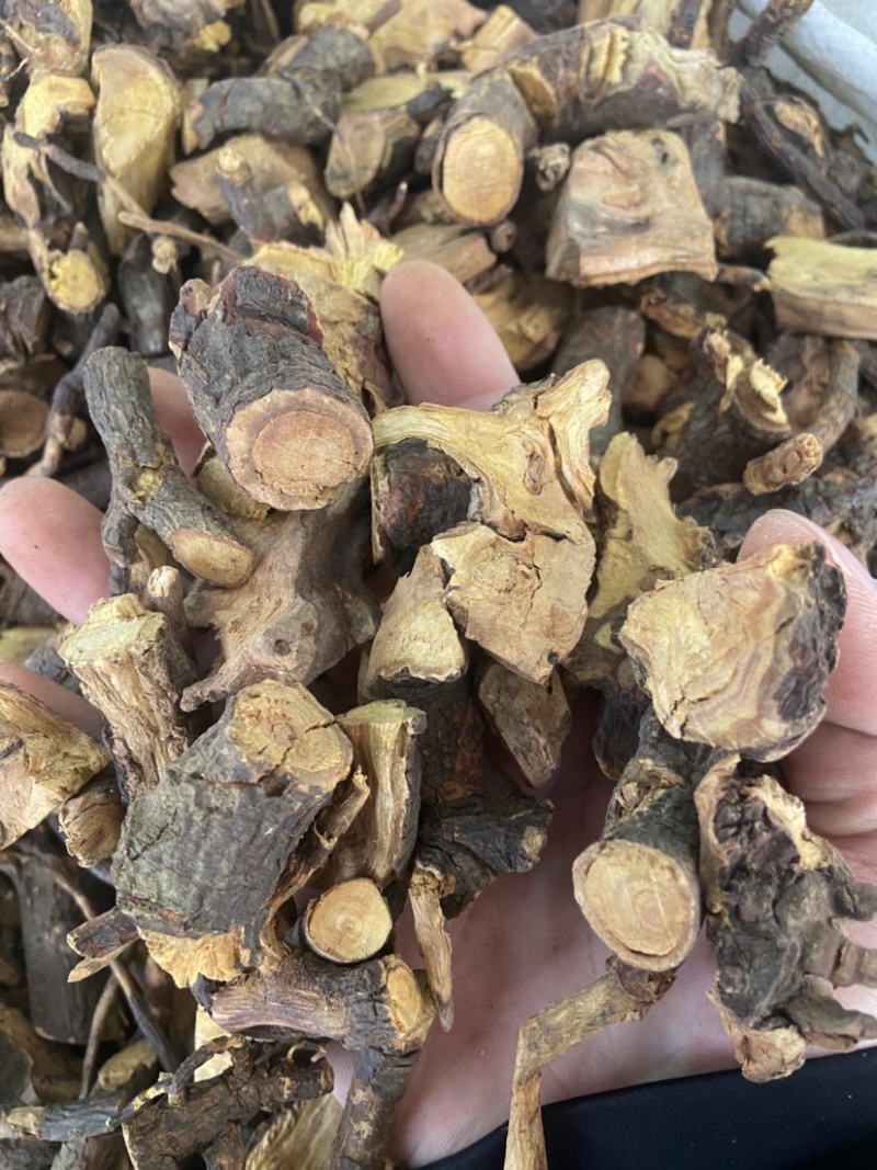 睇牛仔根苦李脚根苦里脚根睇牛儿根睇牛仔干货