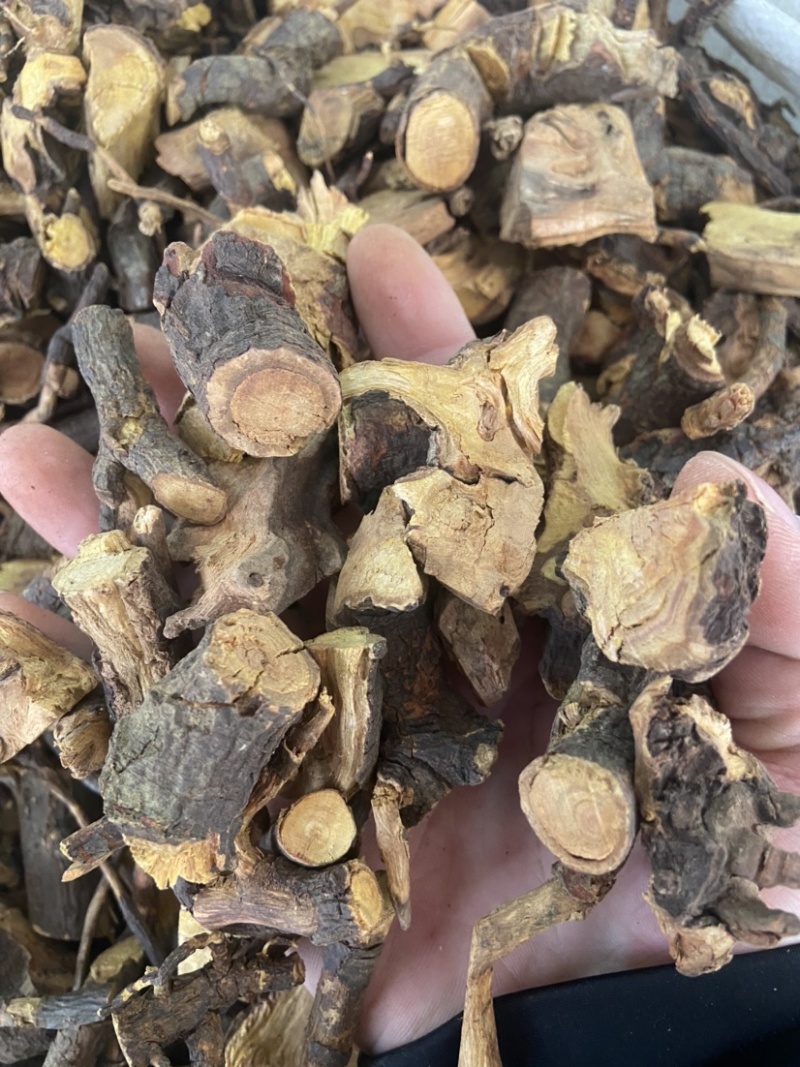 睇牛仔根苦李脚根苦里脚根睇牛儿根睇牛仔干货