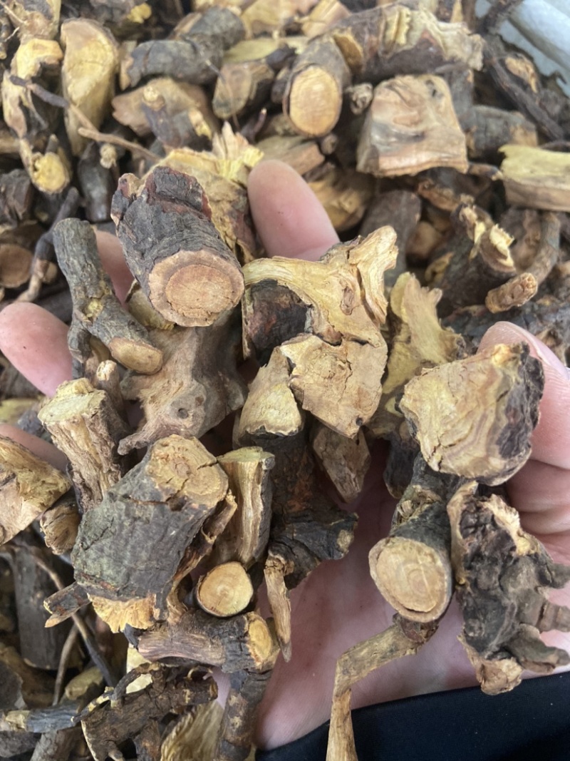 睇牛仔根苦李脚根苦里脚根睇牛儿根睇牛仔干货