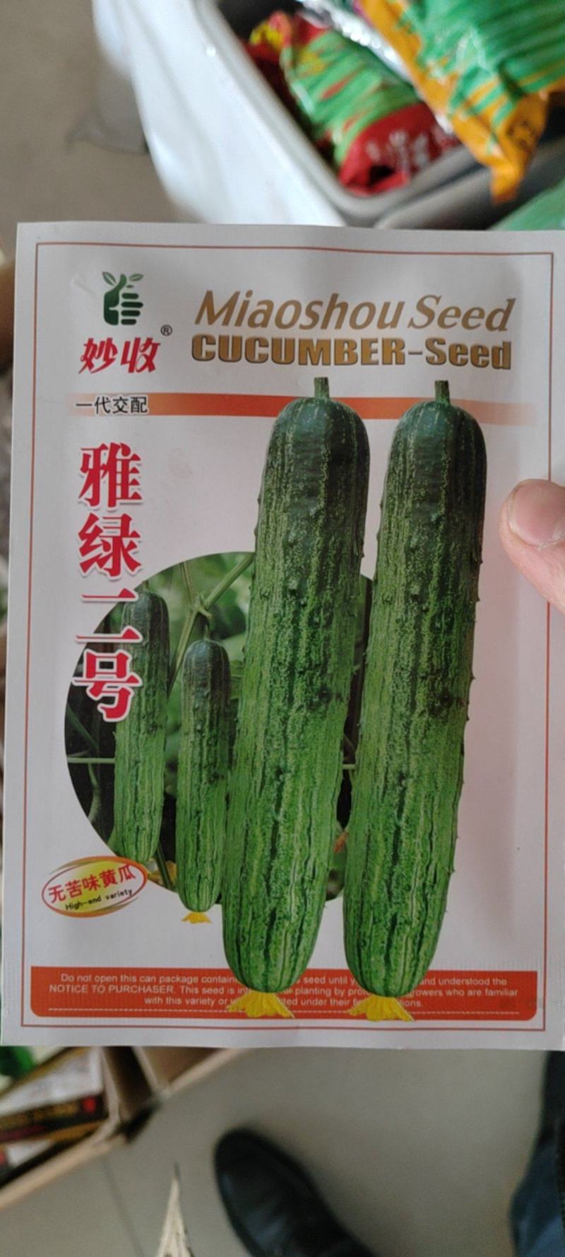 无苦味强磁性节节有瓜座果率高无架春秋地黄瓜种子