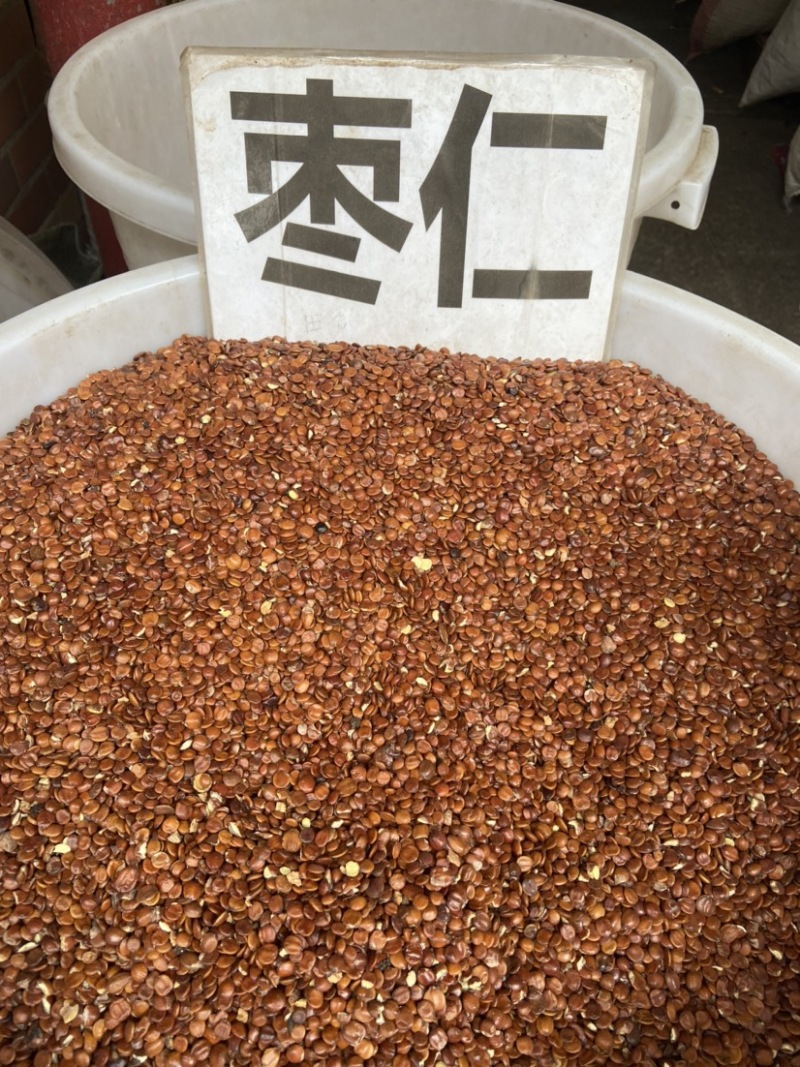 正品酸枣仁无硫酸枣仁酸枣仁粉中药材酸枣仁