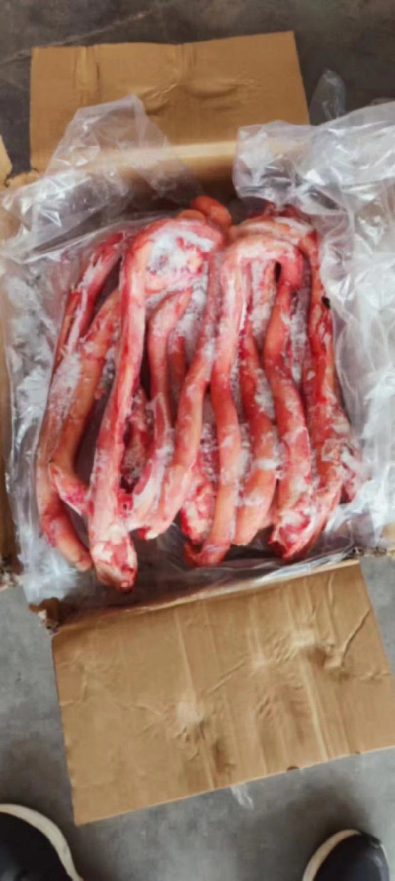牛鞭，精修牛鞭，纯干货，质量保证，价格低，量大可议价