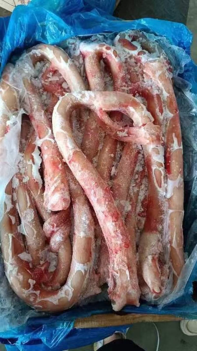 牛鞭，精修牛鞭，纯干货，质量保证，价格低，量大可议价