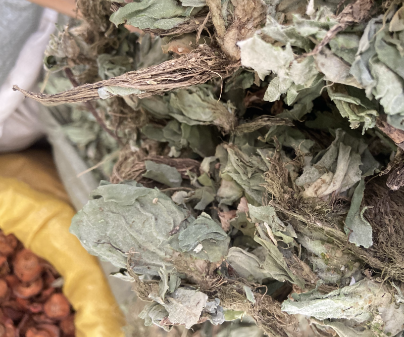 浮萍中药材水莲花青萍田萍浮萍草紫背浮萍草