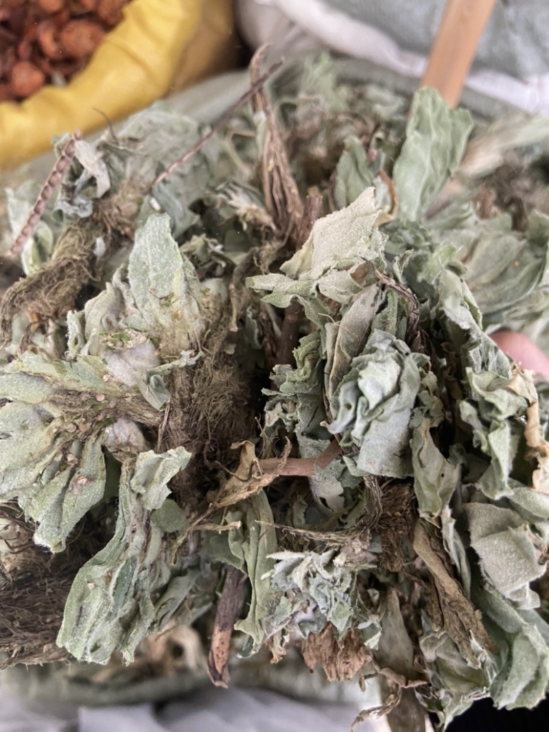 浮萍中药材水莲花青萍田萍浮萍草紫背浮萍草