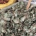 浮萍中药材水莲花青萍田萍浮萍草紫背浮萍草