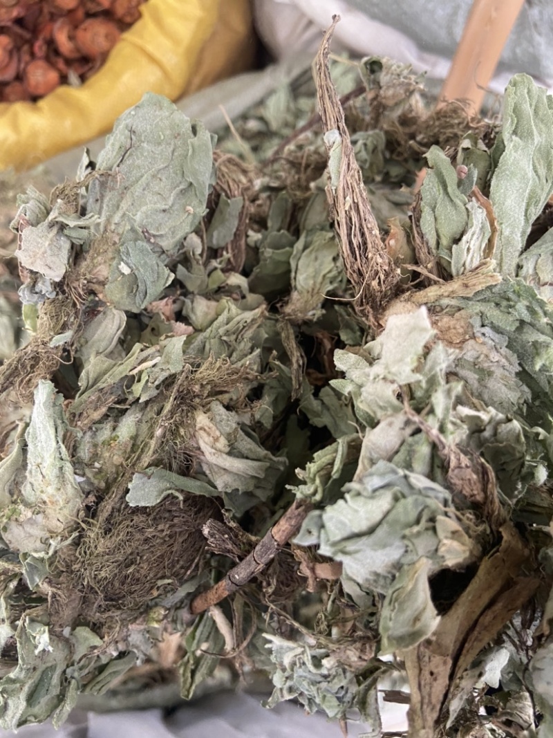 浮萍中药材水莲花青萍田萍浮萍草紫背浮萍草