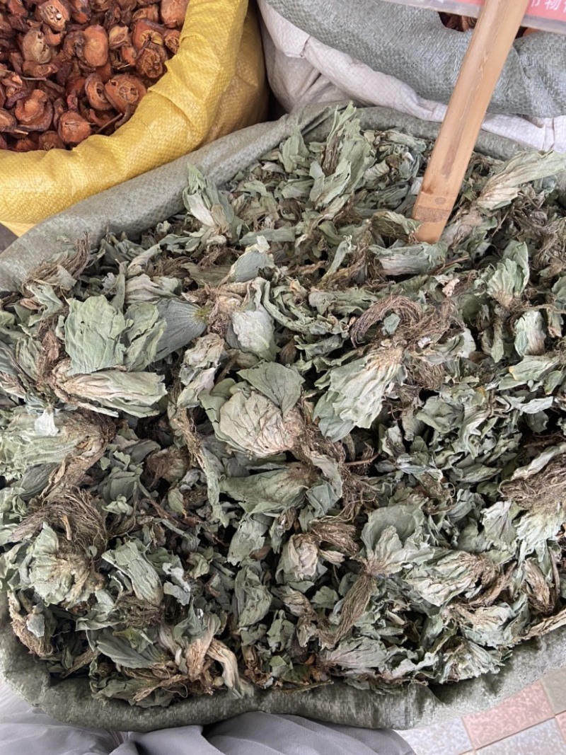 浮萍中药材水莲花青萍田萍浮萍草紫背浮萍草