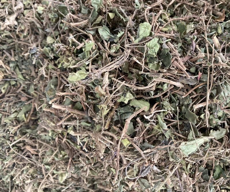 地稔草野生地念草地稔根地捻草铺地锦紫茄子地脚茶