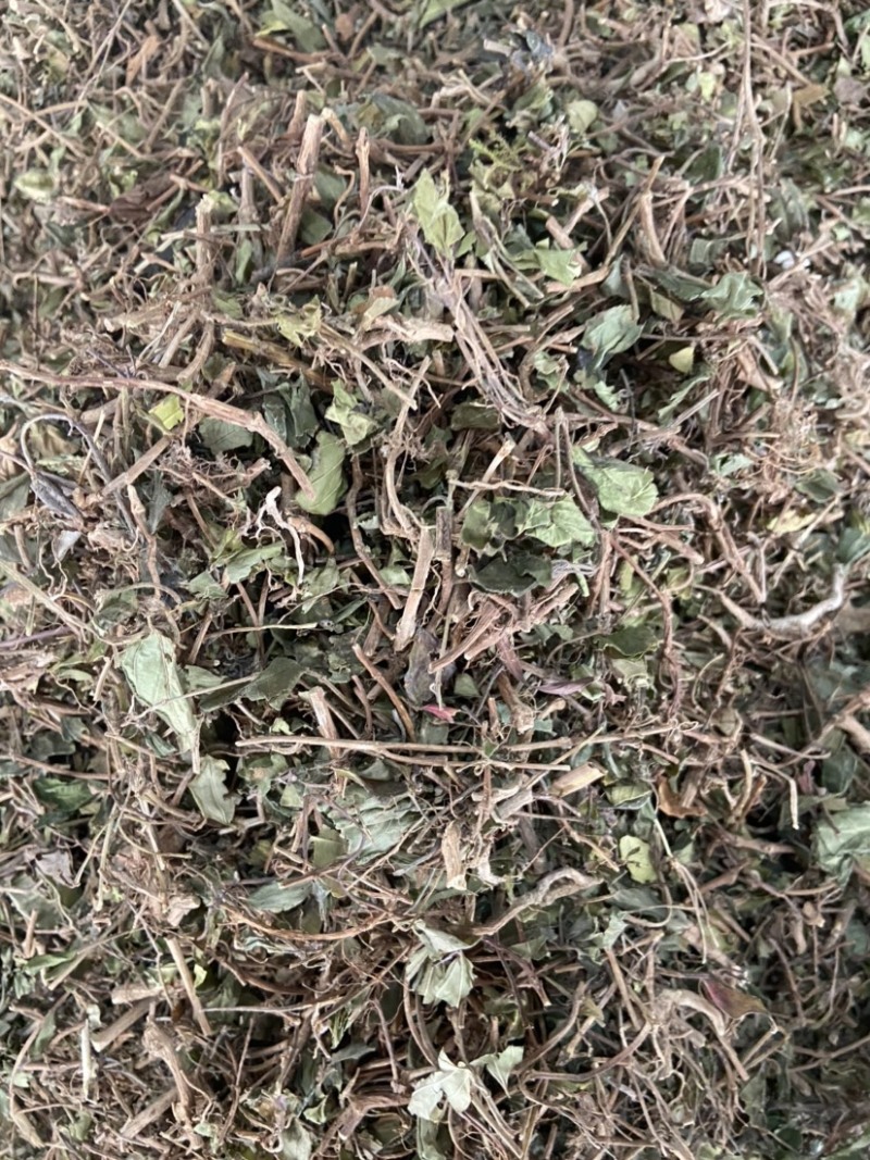 地稔草野生地念草地稔根地捻草铺地锦紫茄子地脚茶