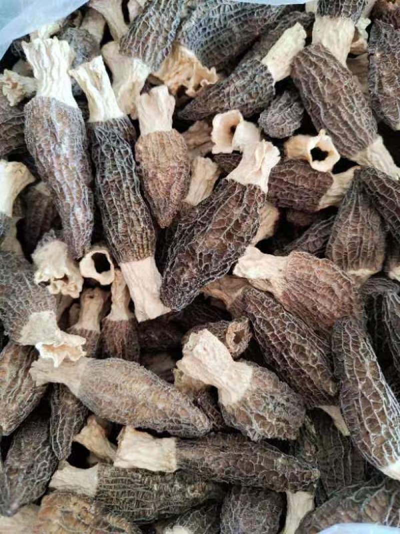羊肚菌菌味浓河南干货羊肚菌肉厚纹理漂亮1袋包邮肉厚