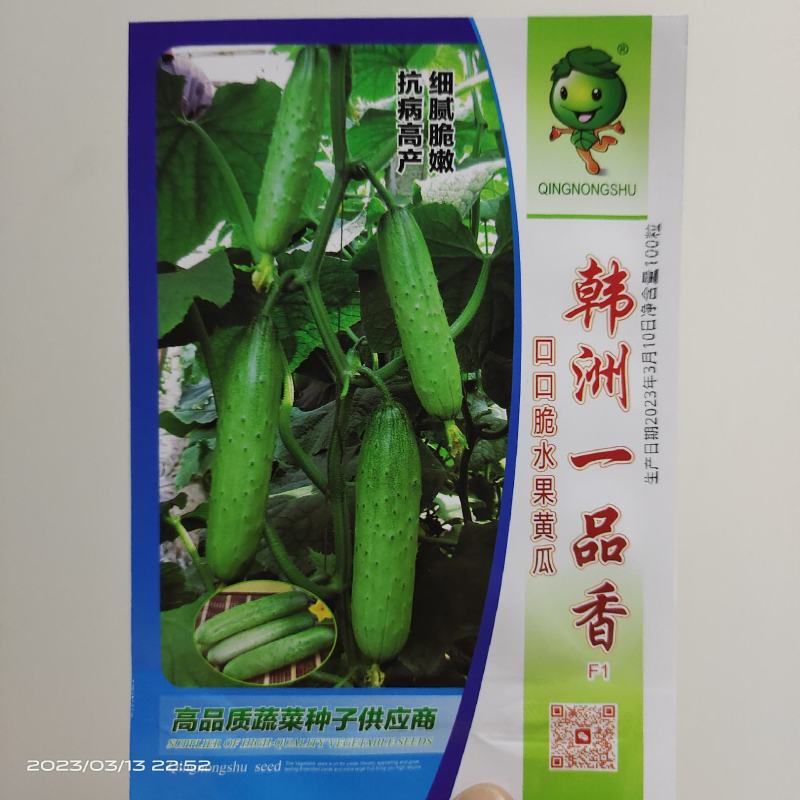 韩洲一品香水果黄瓜种子【】早熟抗病能力
