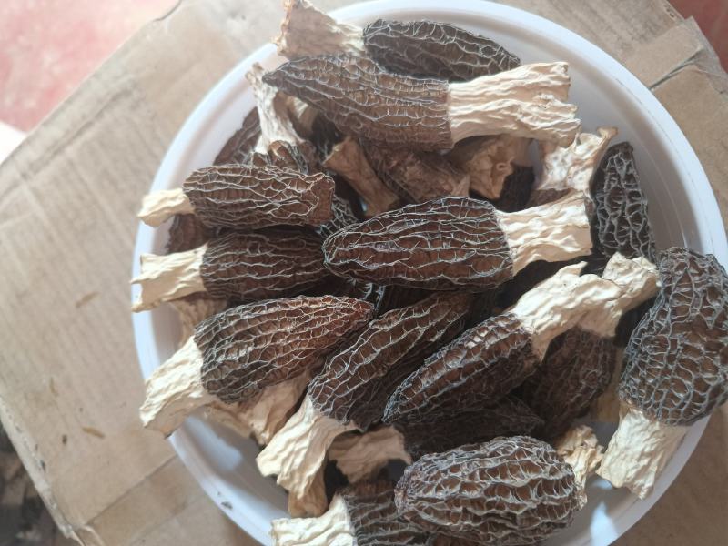 羊肚菌菌味浓河南干货羊肚菌肉厚纹理漂亮1袋包邮肉厚