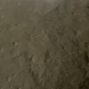 新鲜脱水牛粪，未发酵