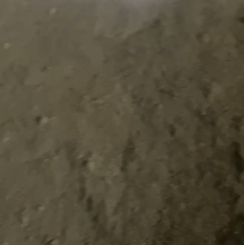 新鲜脱水牛粪，未发酵