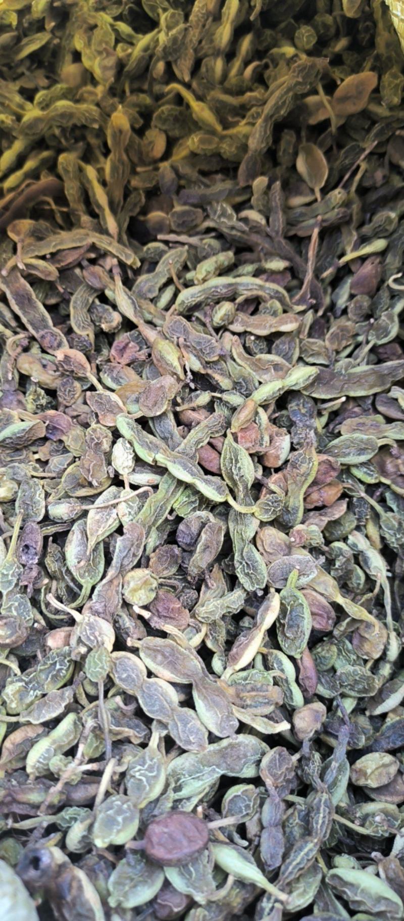 槐角中药材批发槐角质量保证量大从优