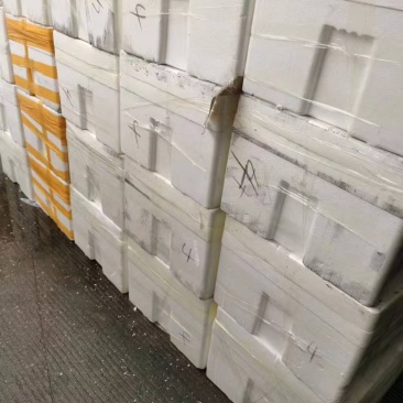 1.5+,肥仔，薄壳