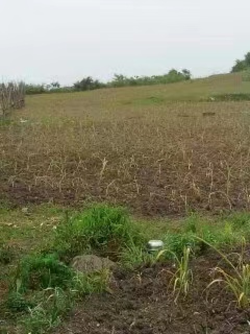 遵义市绥阳县2600亩综合农场，可出租合作