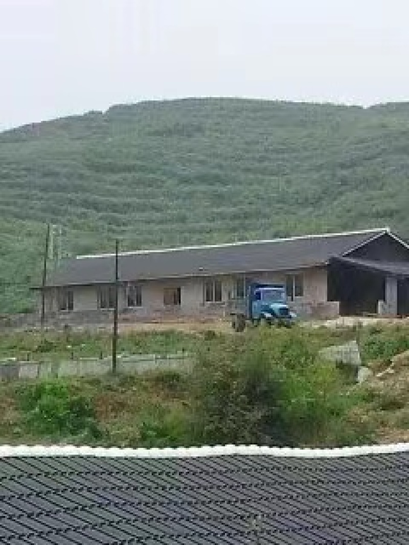 遵义市绥阳县2600亩综合农场，可出租合作
