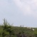 遵义市绥阳县2600亩综合农场，可出租合作