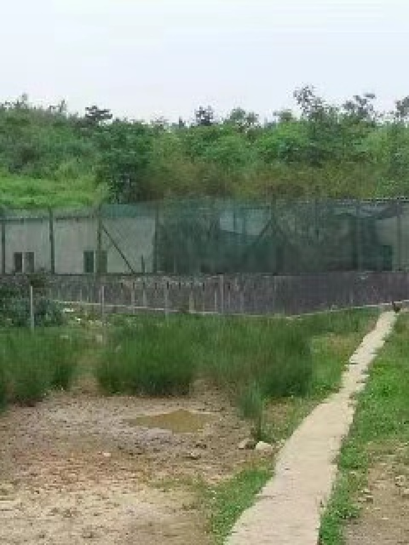 遵义市绥阳县2600亩综合农场，可出租合作